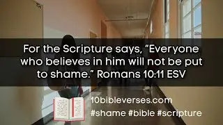 Romans 10:11 Scripture says, “Everyone who believes in him will not be put to shame.” #bibleverse