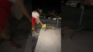 Добрая тайская женщина 🙂
