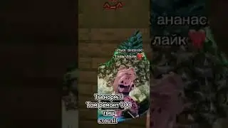 ну что?)) 