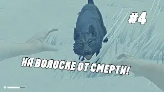 На волоске от смерти ! The Long Dark #4