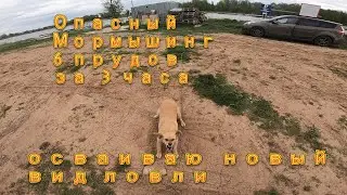 как поймать нано окуня? Мормышинг на прудах.