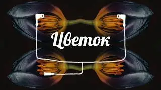 Цветок