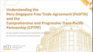 Unlocking Opportunities: Peru & Singapore Webinar
