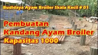 Pembuatan Kandang Ayam Broiler Kapasitas 1000 | Usaha Ternak Ayam Broiler Skala Kecil #01|