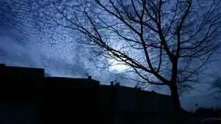 Elgar - Enigma Variations, Op. 36 (1/-)