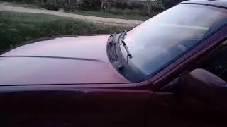 Rondje alfa romeo 33 1.3