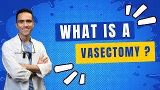 What is a vasectomy?
