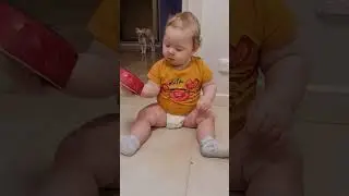 Разлил воду у собаки