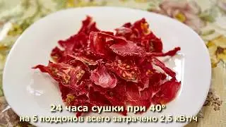Примеры сушки продуктов в самодельном экономичном дегидраторе Ярило 5