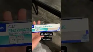 Do Cats like Toothpaste? What if they’re poultry flavored?