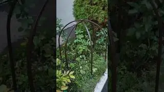 Для зимнего укрытия роз и других кустов предлагаем  удобную раздвижную конструкцию #огород #дача