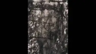 Quantum Subconscious Daydream