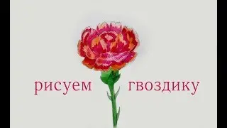Как нарисовать ГВОЗДИКУ К 9 МАЯ !