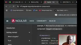 Angular developer guides