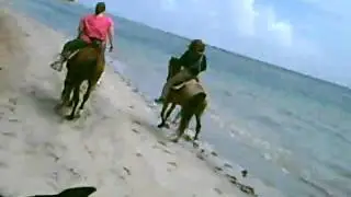 CLIP0016