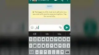 Different whatsapp fonts