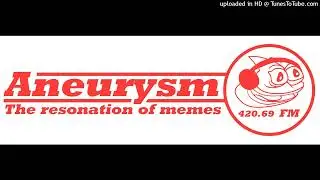 Aneurysm .fm S1E8 - Brian 'n' Daniel - Watch my bird (TRUE REUPLOAD)