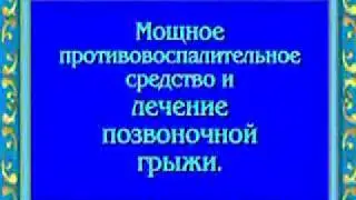 Орис. Мощное противовоспалительное средство. Лечение позвоночной грыжи