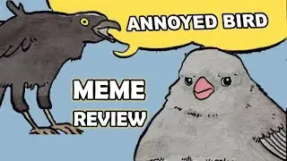 Annoyed Bird