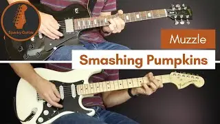 Muzzle - Smashing Pumpkins (Guitar Cover)