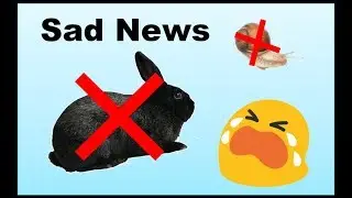Sad News :((((