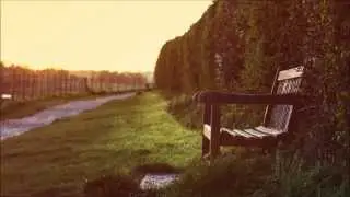 Bee Hunter - Flight To Dublin (Original Mix)
