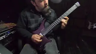 Testing the Fortin Amplification Cali plugin with the new .strandberg* Metal pickups