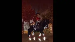 I’ve probably watched this edit a million times and each time I watch it, it becomes worse🫠