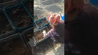 Биогумус Янгибозор