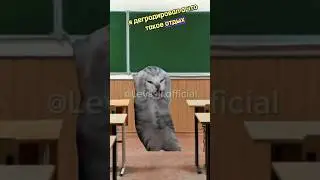До какого города дошло это видео🤔🤨#хочуврек#котики#футажи#shorts Автор звука:@kikkadim