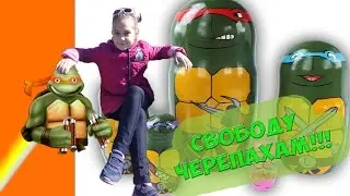 Выпускаем Бакса в Озеро СВОБОДУ черепахам КОРМИМ ГОЛУБЕЙ