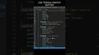CSS TOGGLE SWITCH BUTTON | 