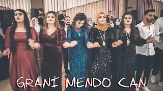 Musiki Aşireti (2023) | Grup Berfin | Mustafa Hoca  |   Mendo Can  Çalıyor Grani