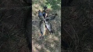 Маленький рыбачек 😍😍