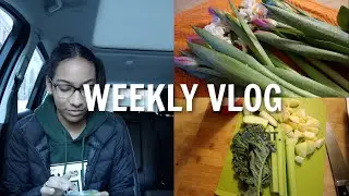 VLOG: green juice recipe, updated hair care routine + more!
