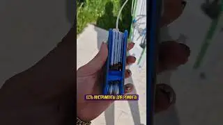 30 мая 2024 г.