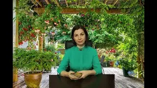 👸Слабые стороны моей соперницы. 🌟Расклад Таро