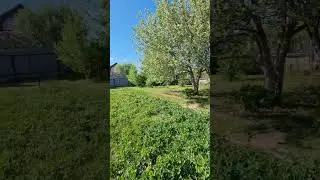 любимая дача