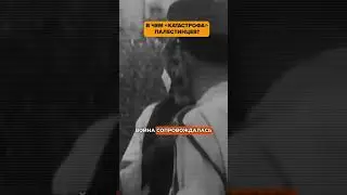 В чем "катастрофа" палестинцев?