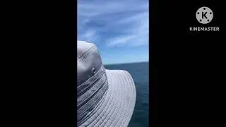 I went to visit some whales (no orcas found 🙁)