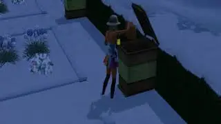 the Sims 3 - зимний мёд