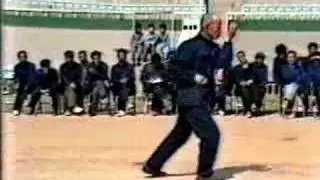 Old clip Hsing-i Animals