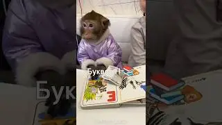 Продолжи песню 🎶 