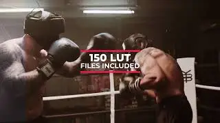 200+ Cinematic LUTs for Premiere Pro, Final Cut & DaVinci Resolve | Color LUT Pack Pro