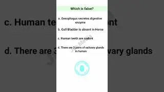 NEET DAILY PRACTICE Q&A NO.19|BIOLOGY|HUMAN PHYSIOLOGY 