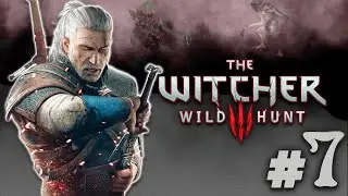 The Witcher 3 / Ведьмак 3 | Прохождение Без Комментариев | Велен - Часть 7