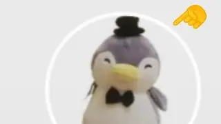 cómo hacer tu perfil invisible en tik tok