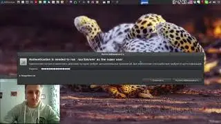Самая частая ошибка пользователей Arch Linux