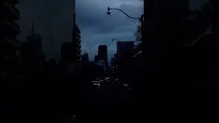 Dark Night | White Noise | Roads | Insomnia