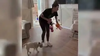 Transparent Cleaning Transformation | Extremely Satisfying